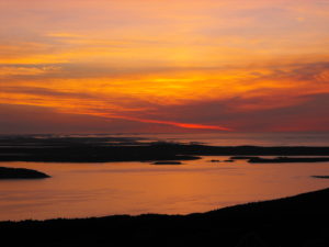 A Guide to Dog Friendly Camping at Acadia National Park